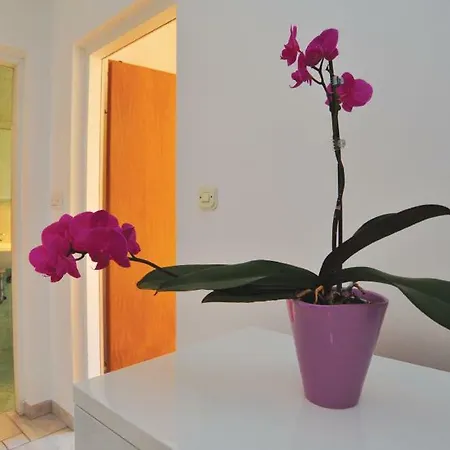 Jadranko In A Quiet Environment Near The Center And The Appartement *