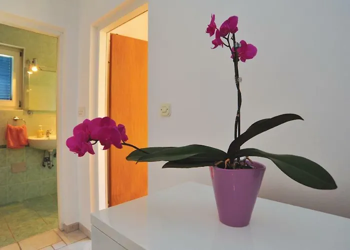 Jadranko In A Quiet Environment Near The Center And The Apartman *