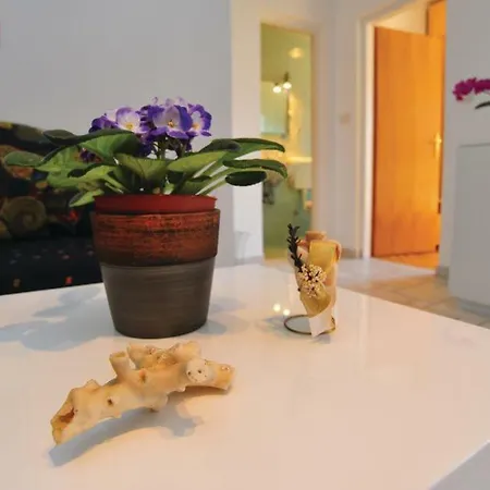 Appartamento Jadranko In A Quiet Environment Near The Center And The Murter