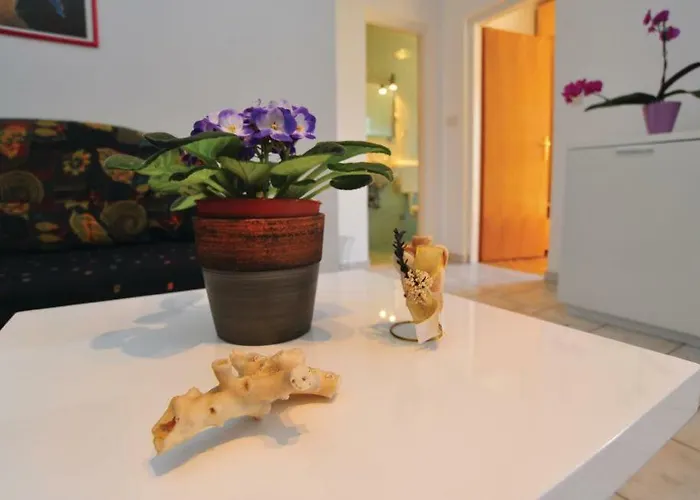 Apartament Jadranko In A Quiet Environment Near The Center And The Murter